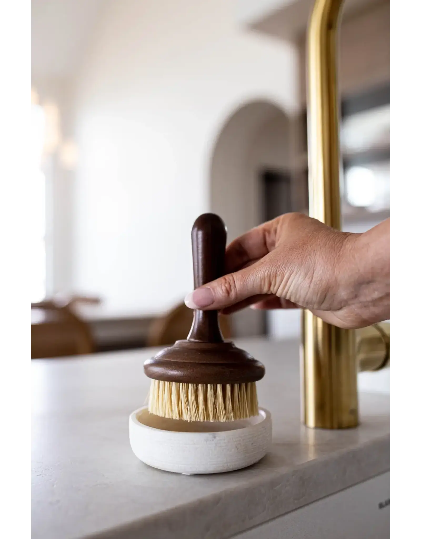 Dish Soap Scrub Brush