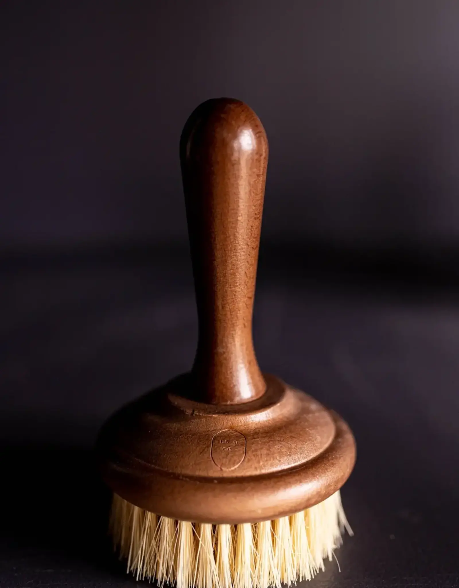 Dish Soap Scrub Brush