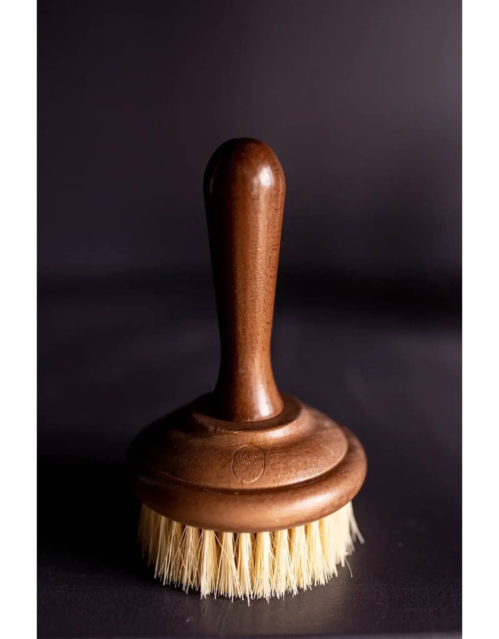 Dish Soap Scrub Brush