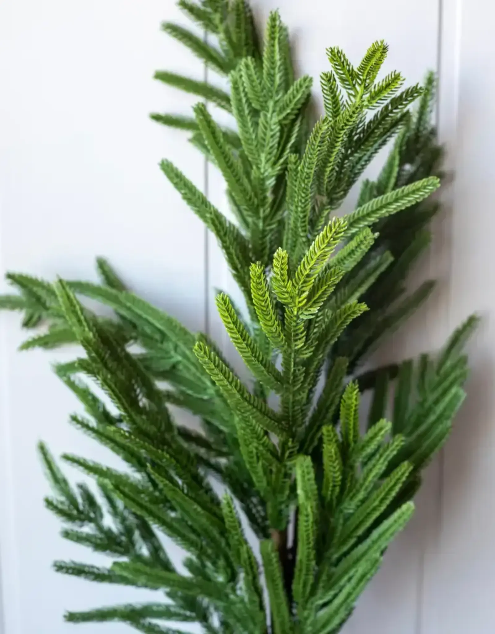 Norfolk Pine Real Touch Green Faux Stem Medium