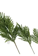 Norfolk Pine Real Touch Green Faux Stem Medium