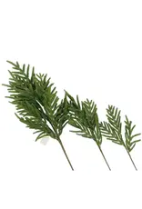 Norfolk Pine Real Touch Green Faux Stem Medium