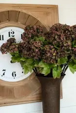 28" Sweet William Stem (Various Colours)