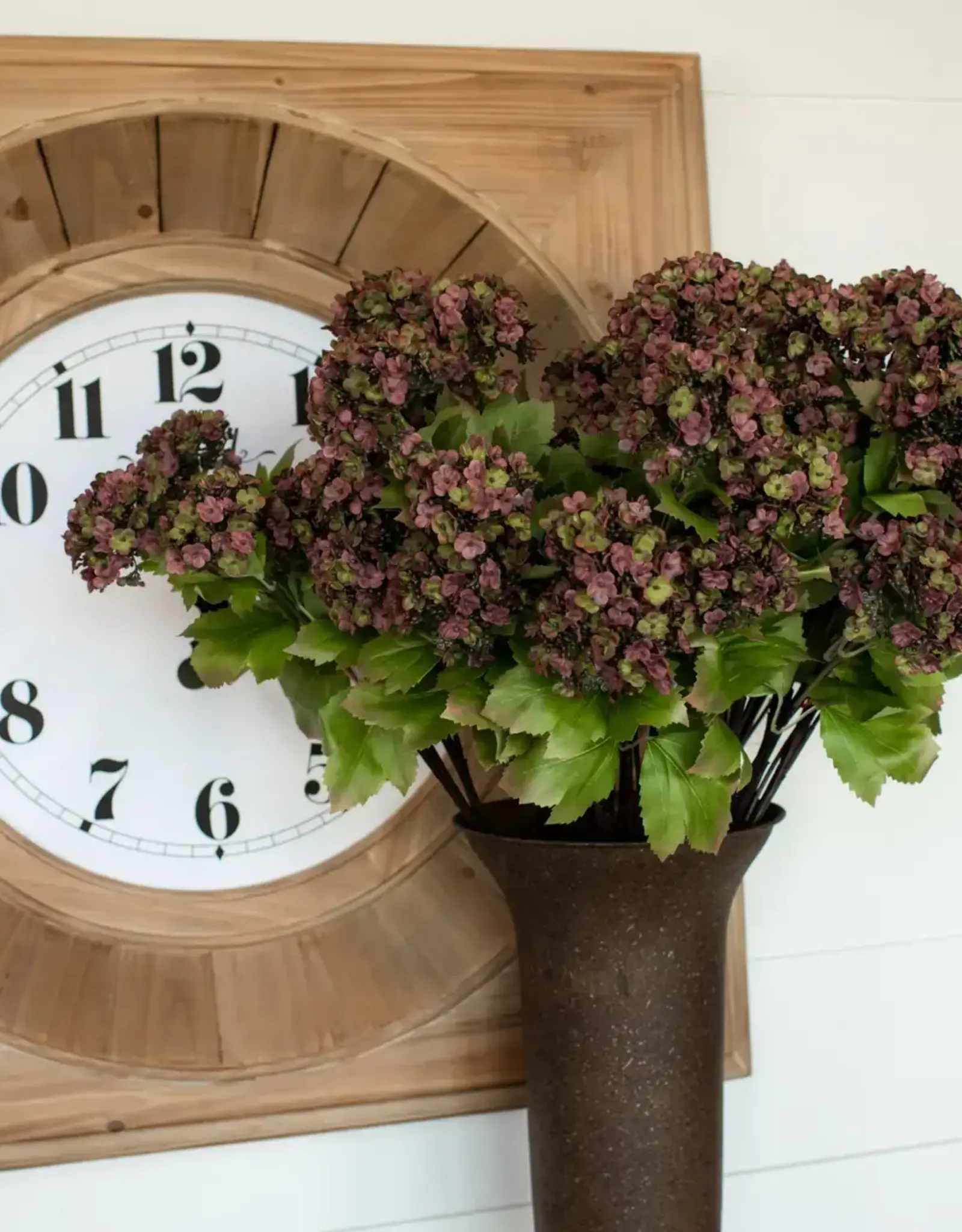 28" Sweet William Stem (Various Colours)