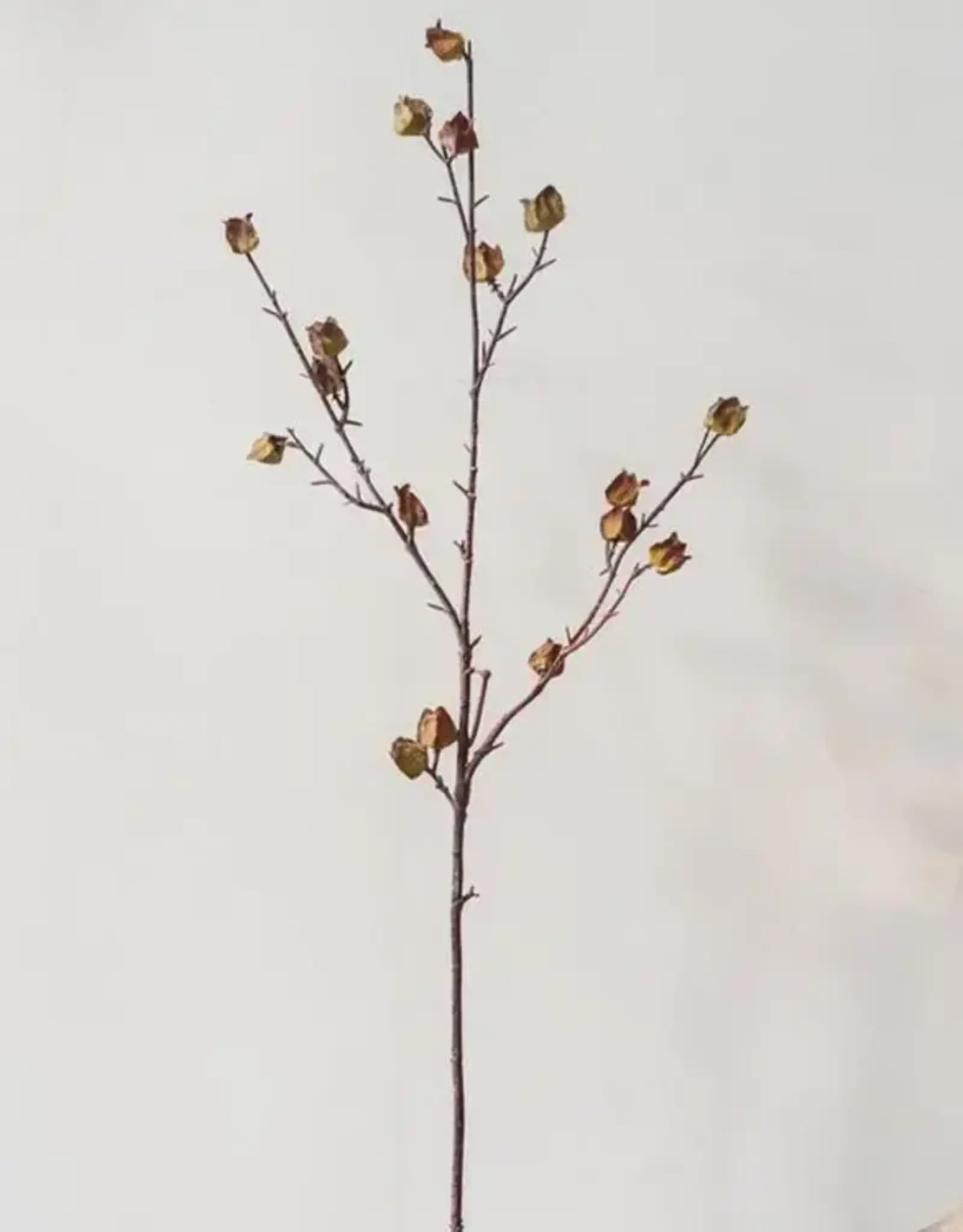 Artificial Dry Hibiscus Flower Stem, 35.4"