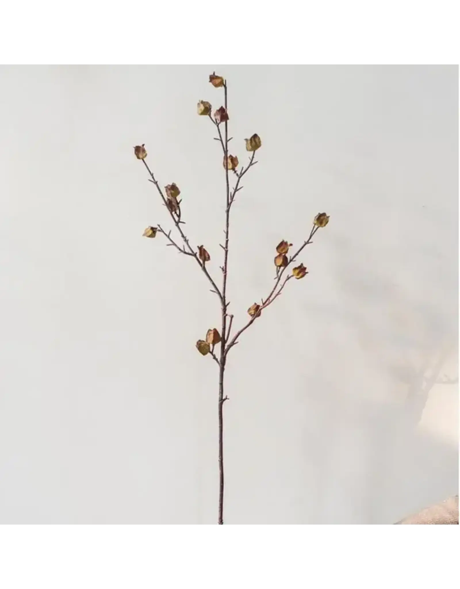Artificial Dry Hibiscus Flower Stem, 35.4"