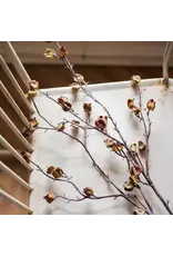 Artificial Dry Hibiscus Flower Stem, 35.4"