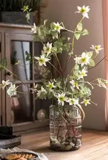 German Clematis Flower Stem in White 40" Tall