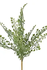 17" Fern Pick