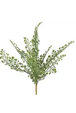 17" Fern Pick