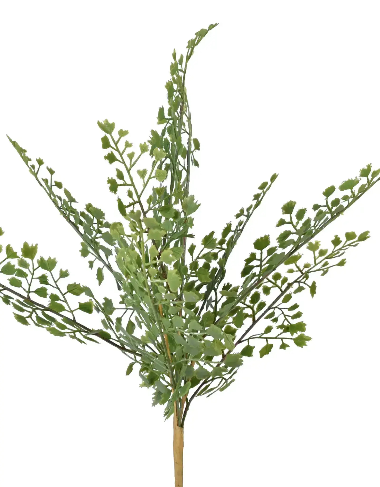 17" Fern Pick