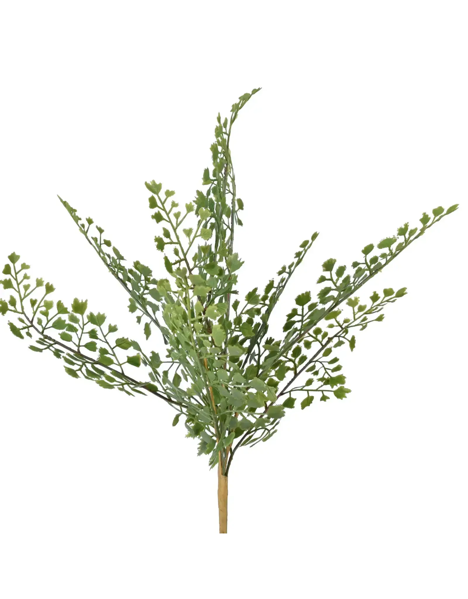 17" Fern Pick