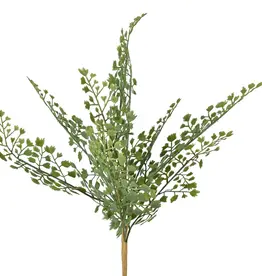 17" Fern Pick