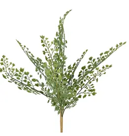 17" Fern Pick