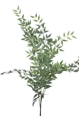 47" Italian Ruscus