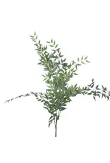 47" Italian Ruscus