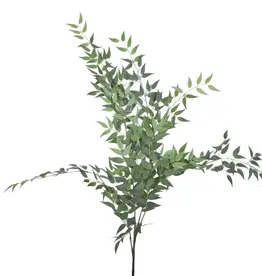 47" Italian Ruscus