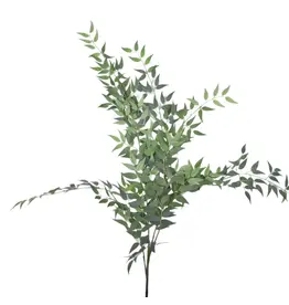 47" Italian Ruscus