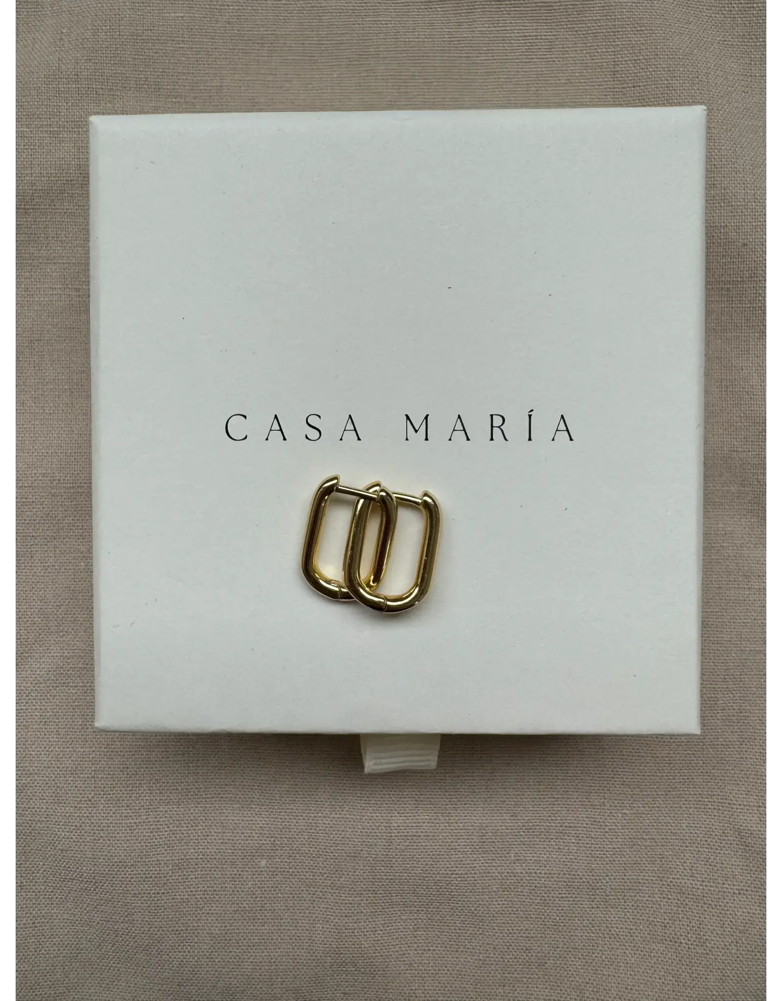 Bold Rectangular Hoops