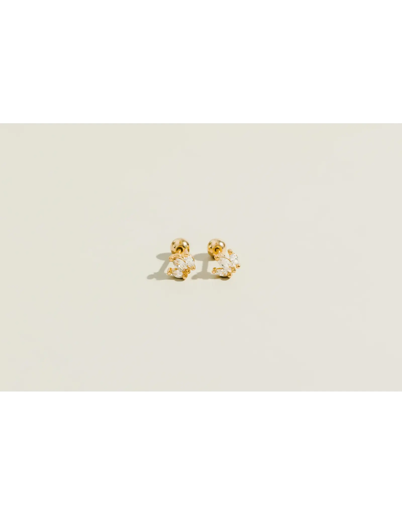 Crown Zirconia Studs