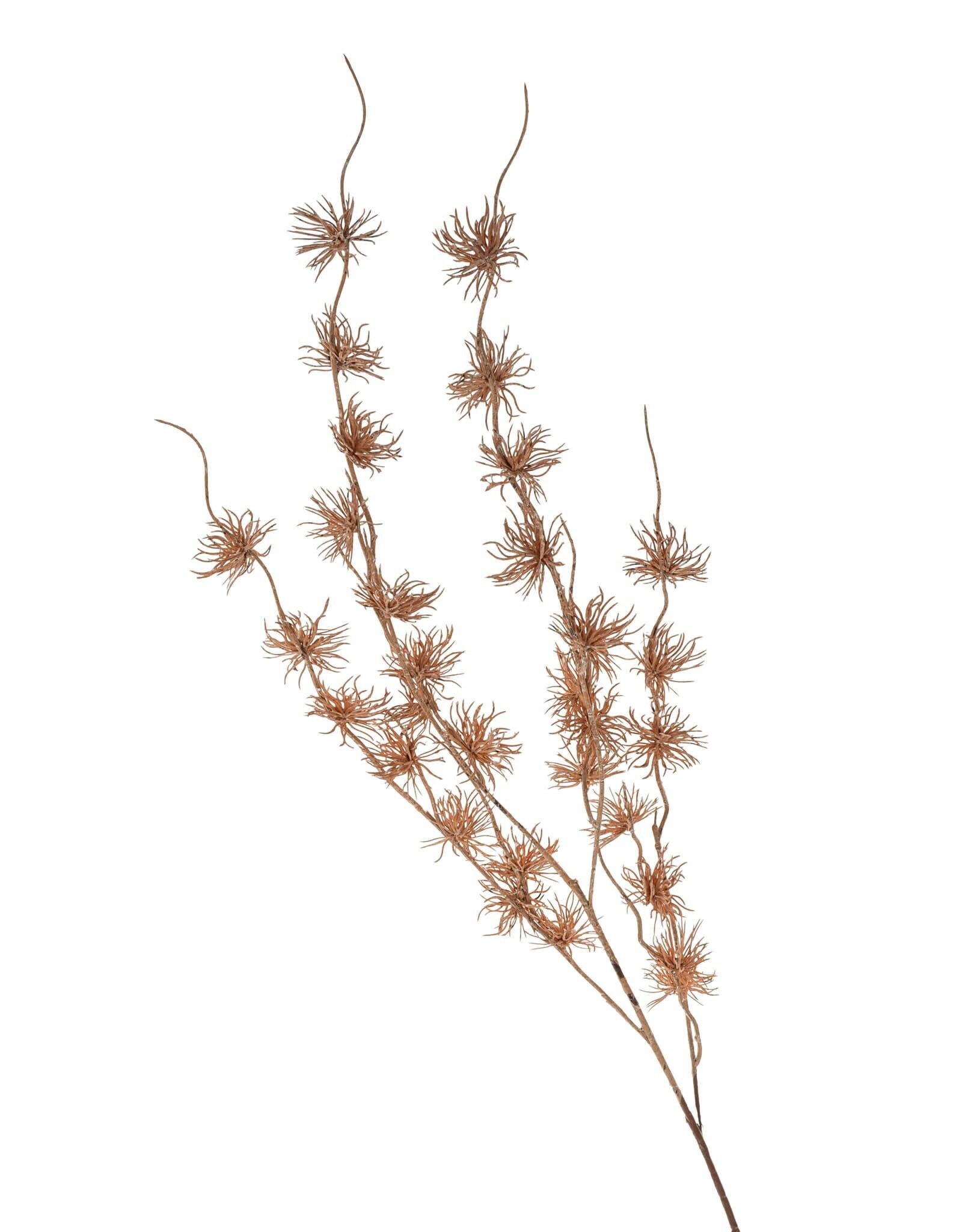 Autumn Burst Branch