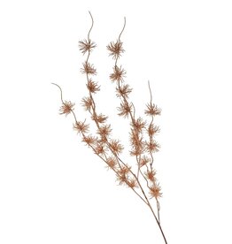 Autumn Burst Branch