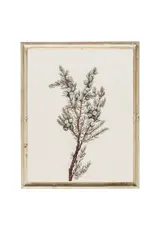 Winter Greenery Vintage Art Print