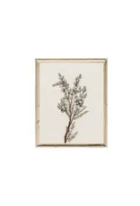Winter Greenery Vintage Art Print