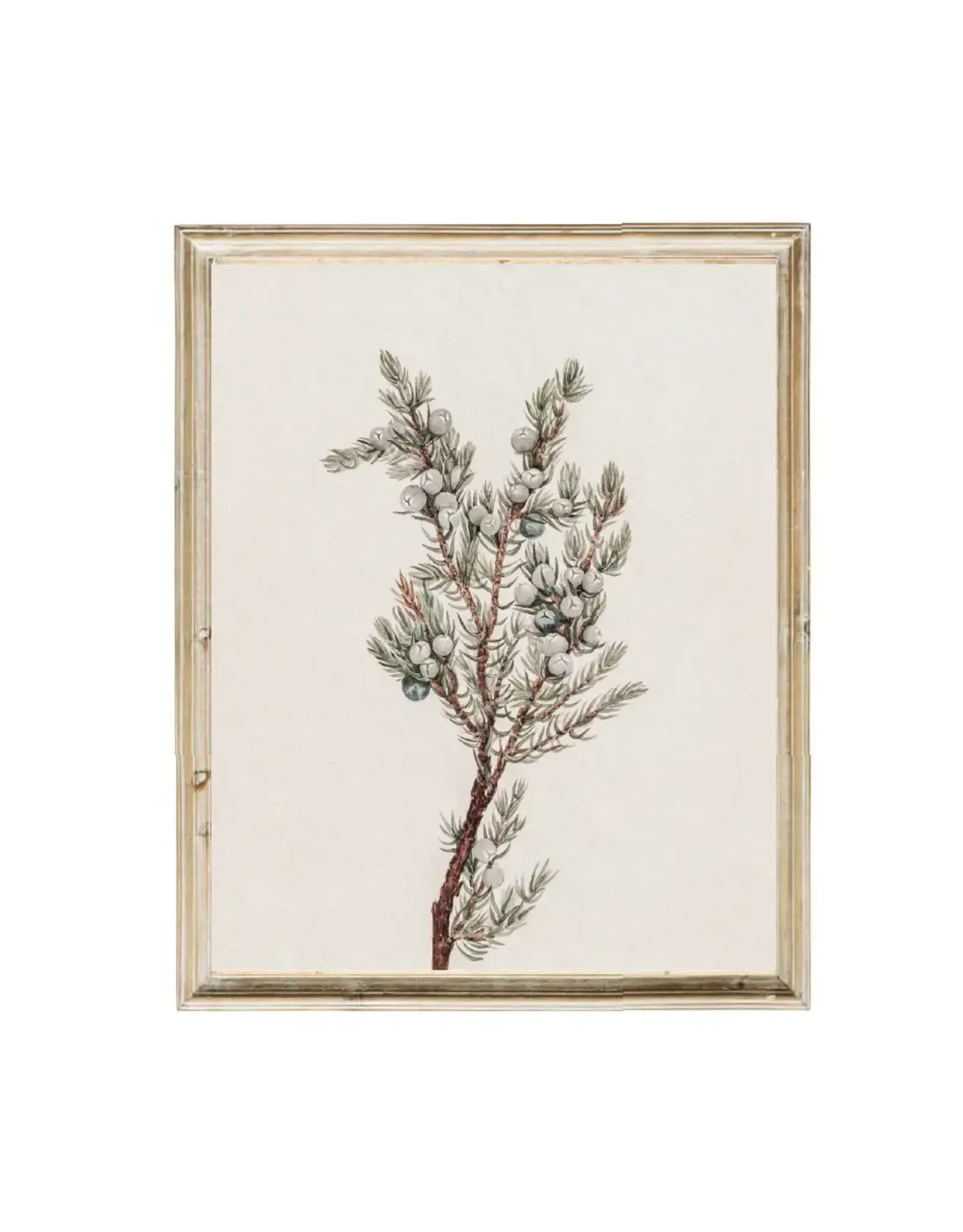 Winter Greenery Vintage Art Print