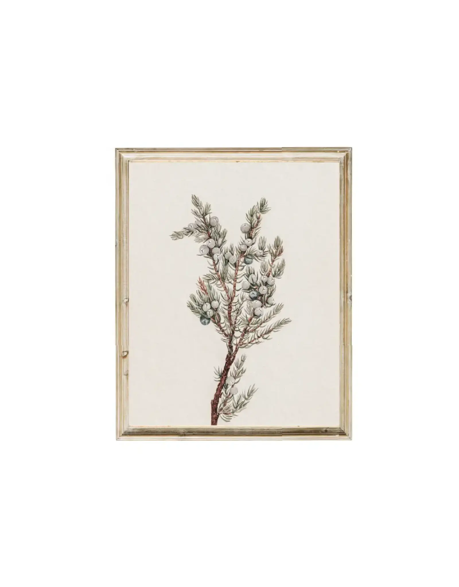 Winter Greenery Vintage Art Print