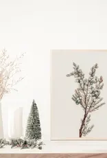 Winter Greenery Vintage Art Print