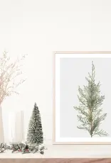 Juniper Art Print | Vintage Art 8x10