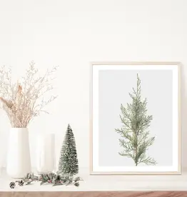 Juniper Art Print | Vintage Art 8x10