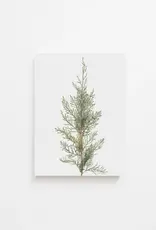 Juniper Art Print | Vintage Art 8x10