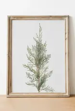 Juniper Art Print | Vintage Art 8x10