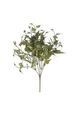 Ivy Spray, Green