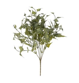 Ivy Spray, Green