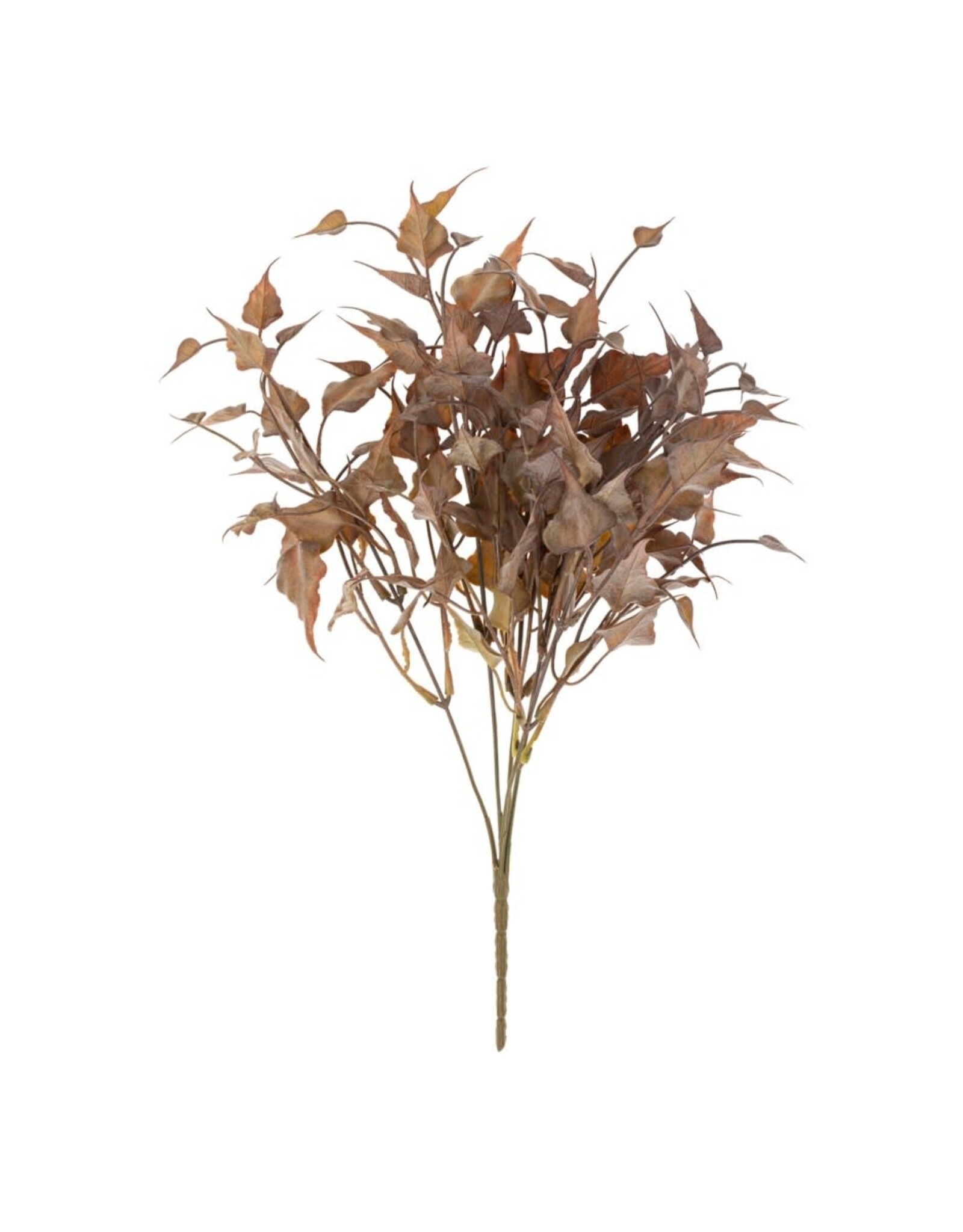Ivy Spray, Burgundy