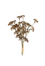 Meadow Grass Bouquet, Brown