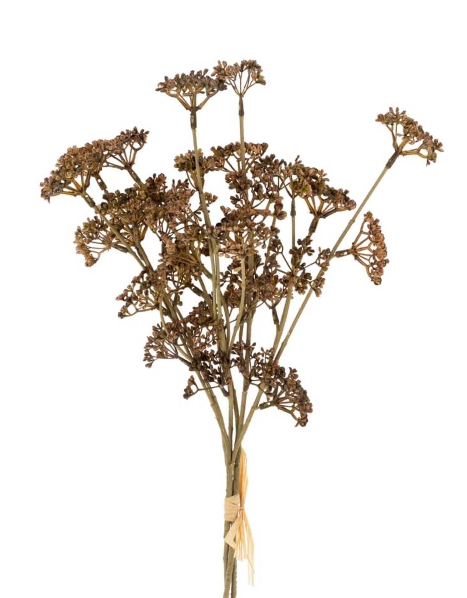 Meadow Grass Bouquet, Brown