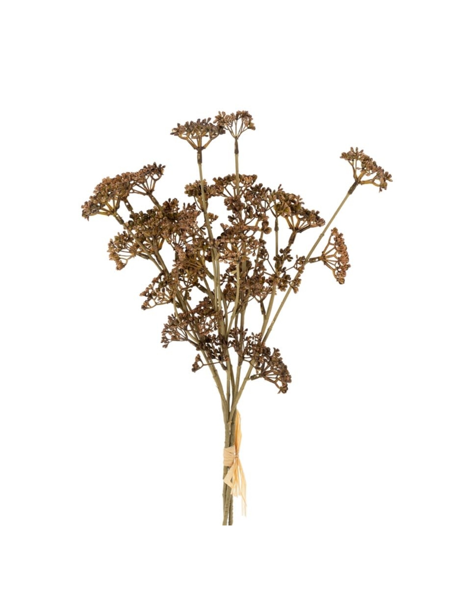 Meadow Grass Bouquet, Brown