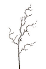 39" Iced Branch