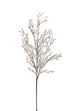 36" Iced Branch