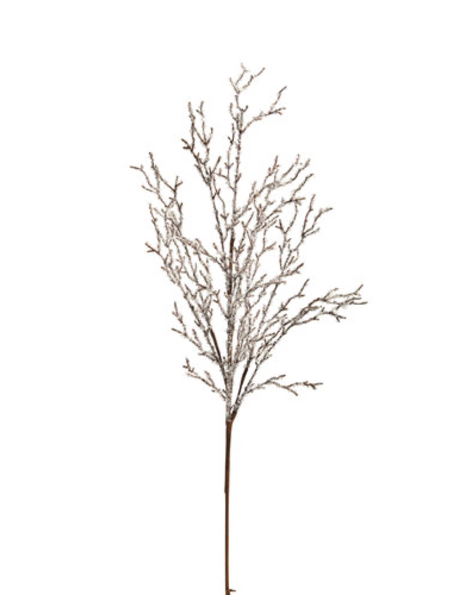 36" Iced Branch