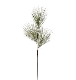 36" Long Needle Pine Spray