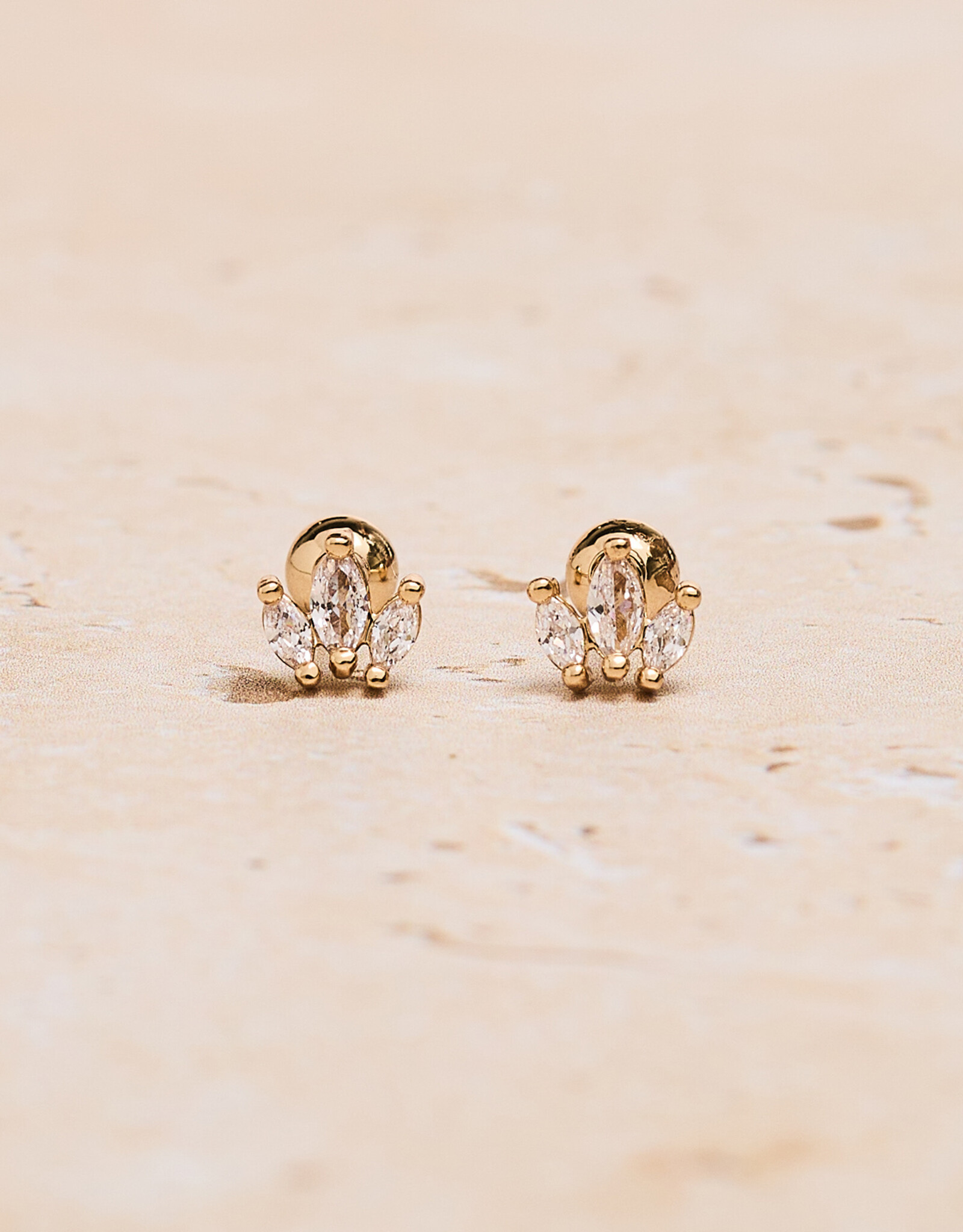 Crown Zirconia Studs