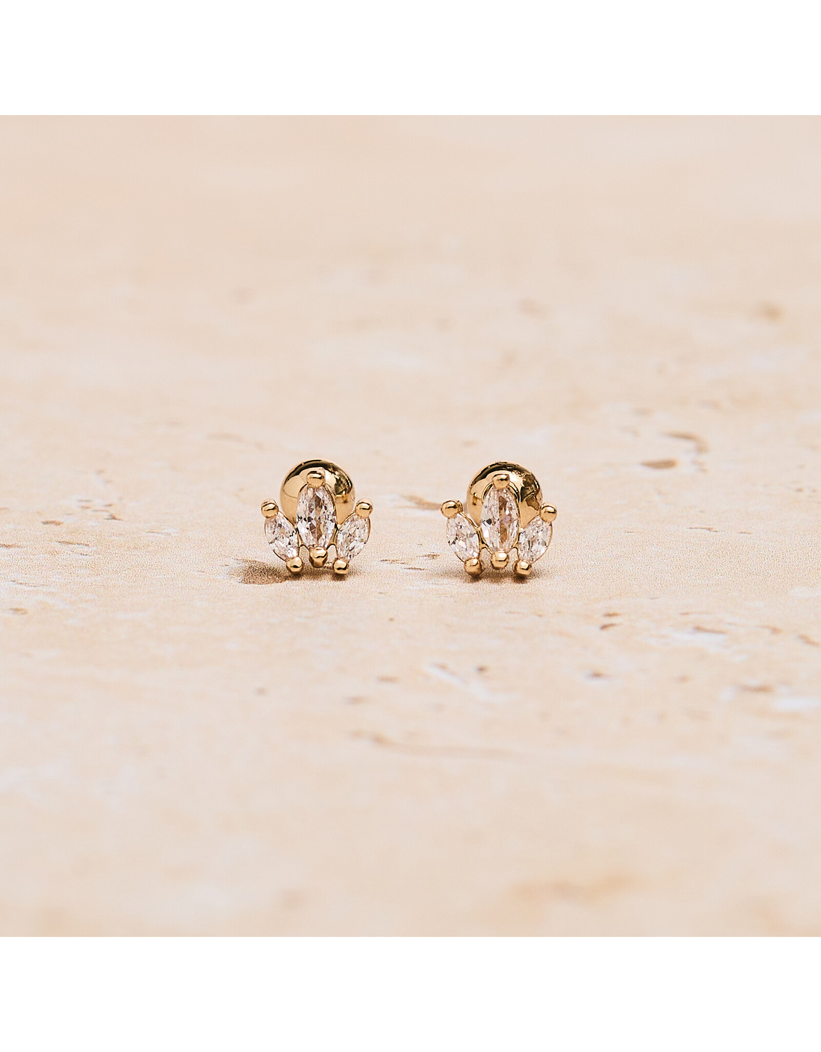 Crown Zirconia Studs