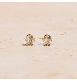 Crown Zirconia Studs