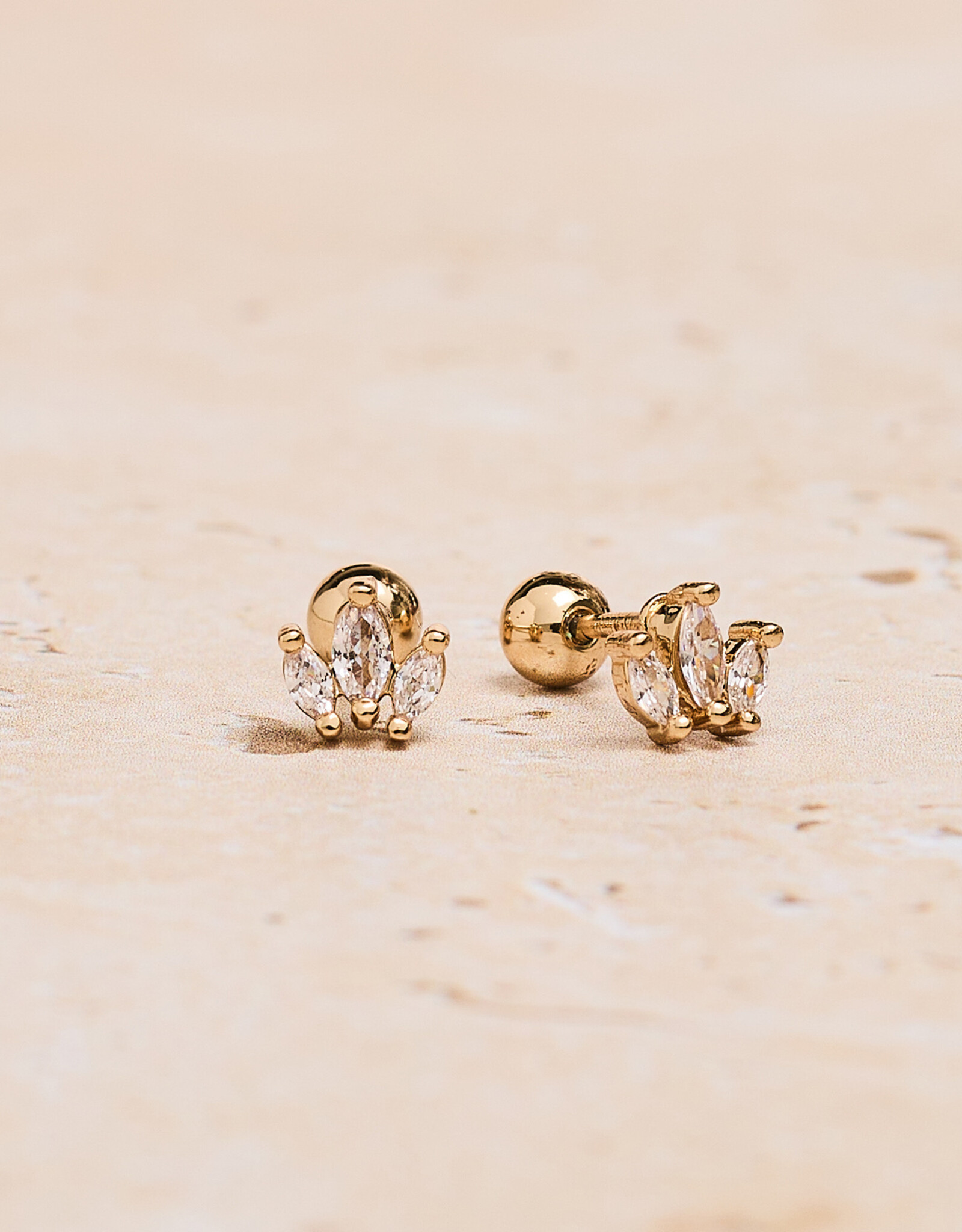 Crown Zirconia Studs