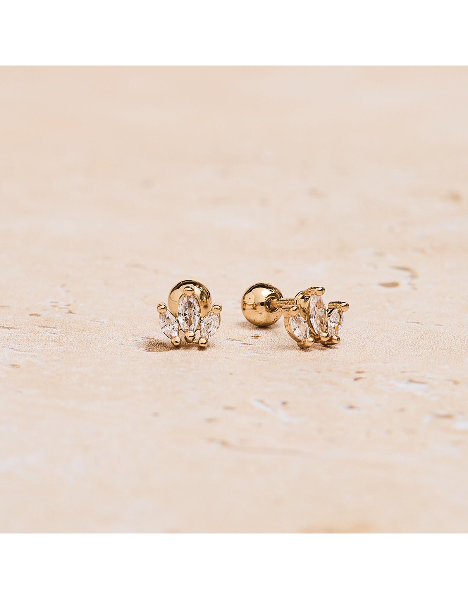 Crown Zirconia Studs
